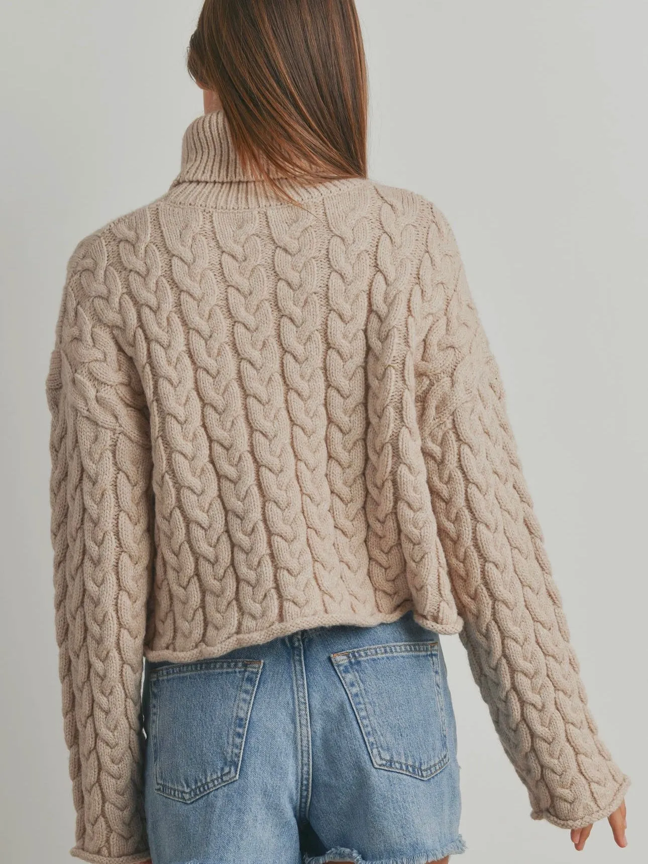 Braid Turtle Neck Long Sleeve Sweater