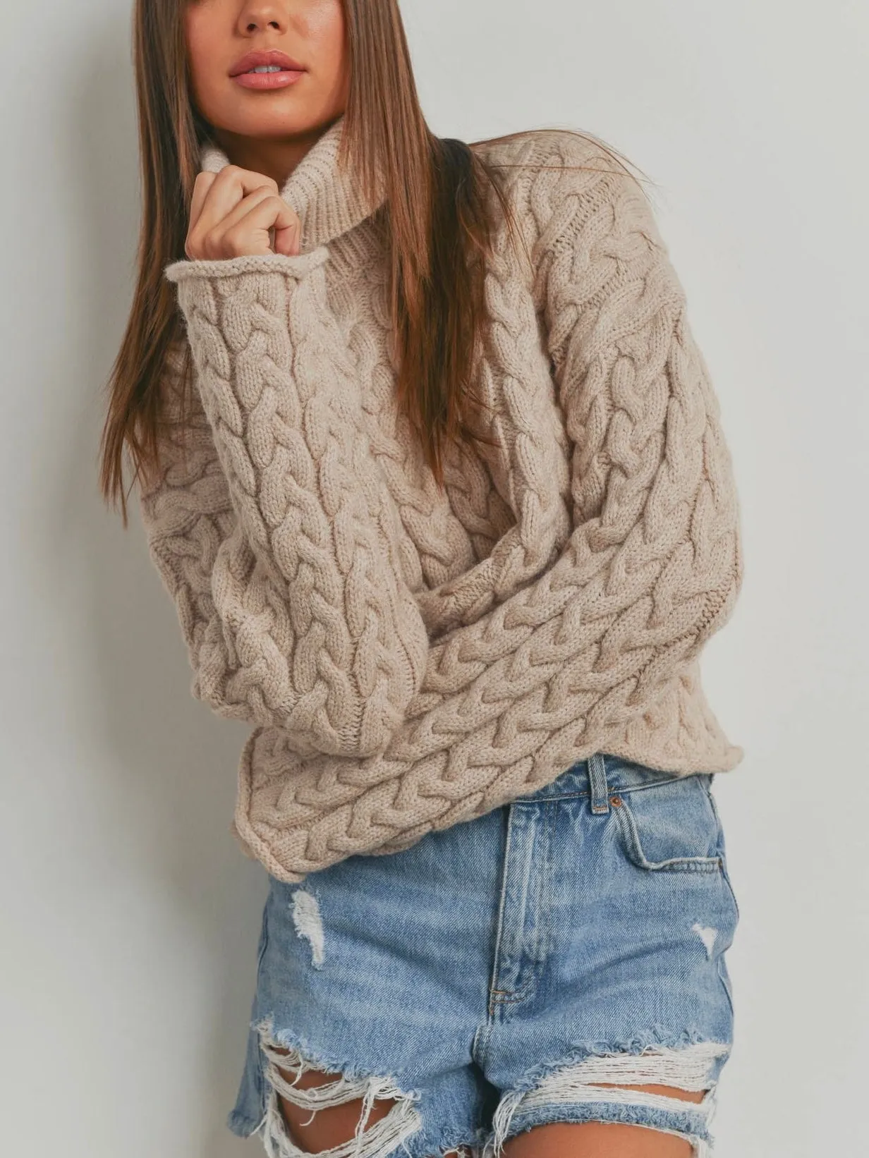 Braid Turtle Neck Long Sleeve Sweater