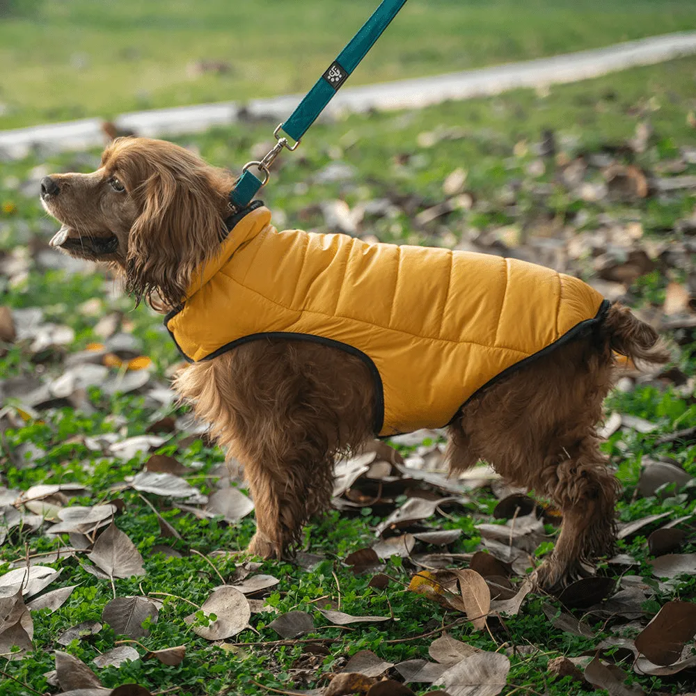 Dear Pet Quilted Jacket for Dogs (Yellow)