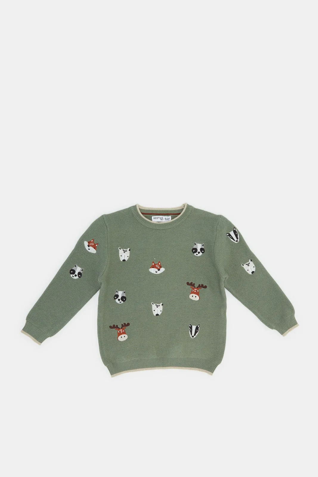 Infant Boys Green Forest Animal Embroidery Pullover