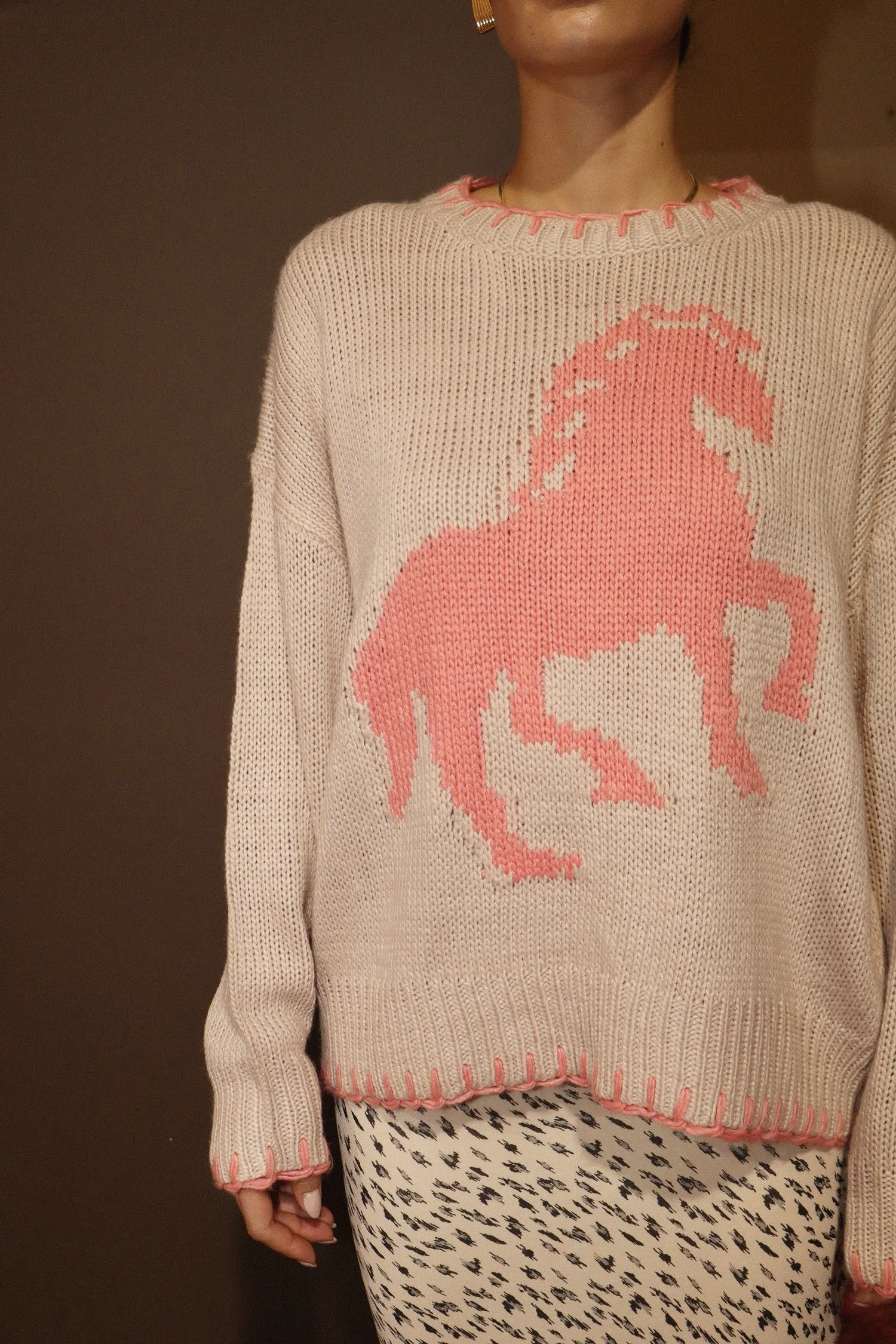 Knitted Horse Sweater